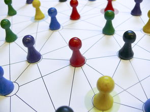 乐鱼体育app入口-中国篮球教练员专业能力提升路径，篮球教练员的专业技能包括哪些方面